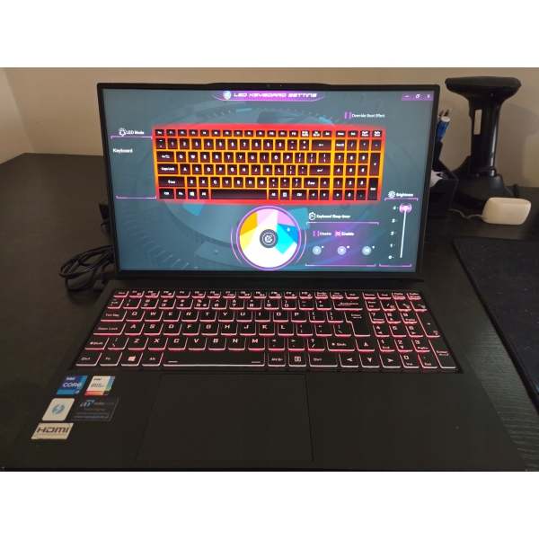 laptop CLEVO NS50MU i7-1165G7 4x 2,80GHz 16GB SSD 512GB Win11 real foto